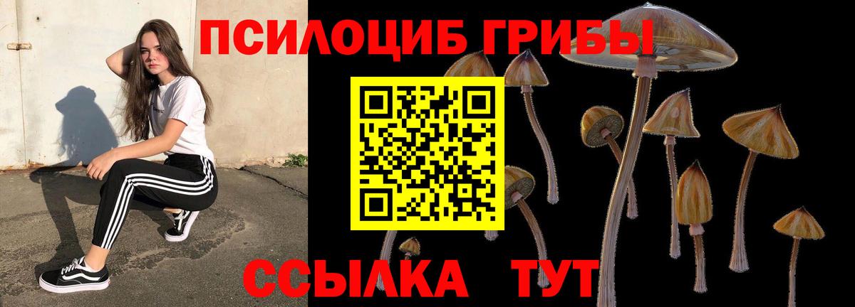 Галлюциногенные грибы MAGIC MUSHROOMS Пермь