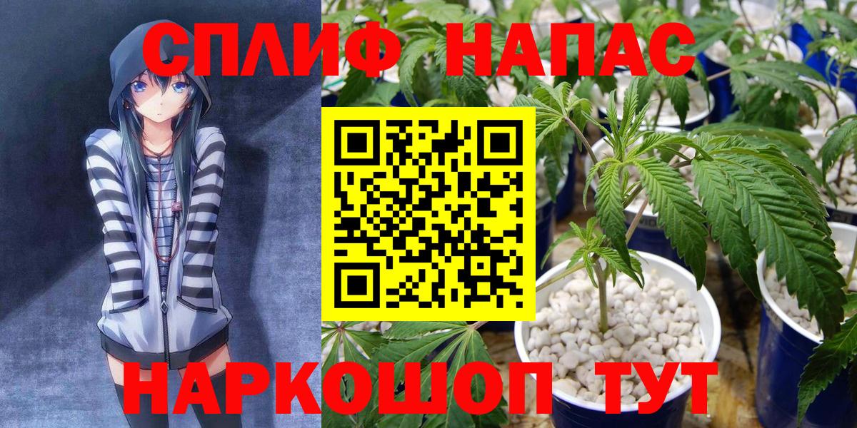 Бошки Шишки White Widow  Бошки Шишки индика  Вход с VPN  Пермь  Конопля SATIVA & INDICA 